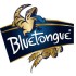 BlueTongue