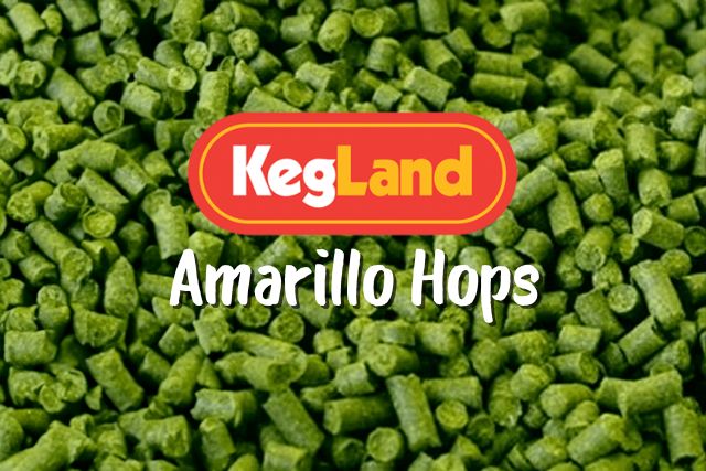 buy amarillo hops online australia