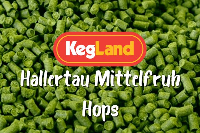 buy hallertau hops online australia