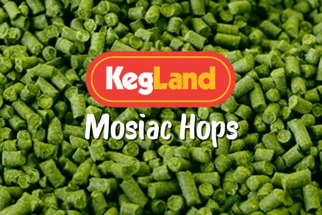 buy mosiac hops online australia