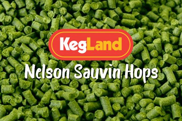 buy nelson sauvin hops online australia
