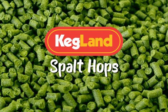 buy spalt hops online australia